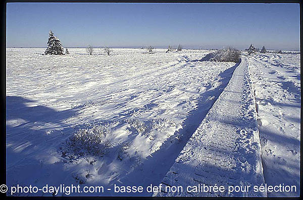 les Hautes Fagnes